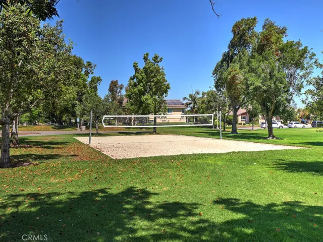 College Park- Park!! It is Amazing! Volleyball!