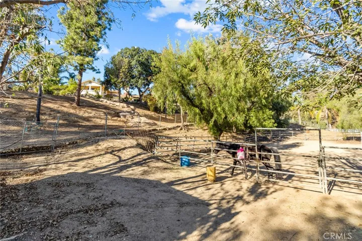 18125 S Hutchings Drive, Yorba Linda, California 92886