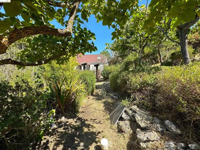 85 Edgecroft, Kensington, California 94707