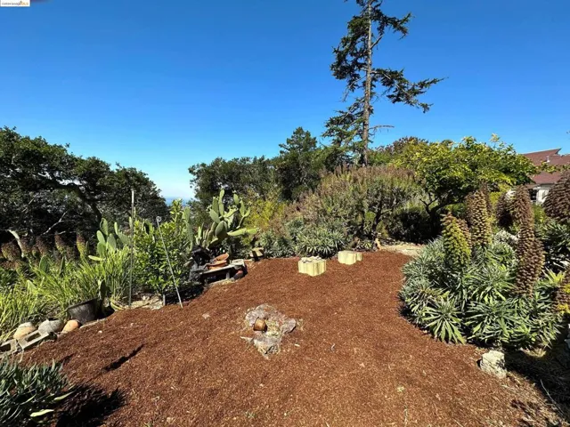 85 Edgecroft, Kensington, California 94707