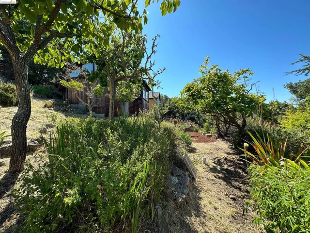 85 Edgecroft, Kensington, California 94707