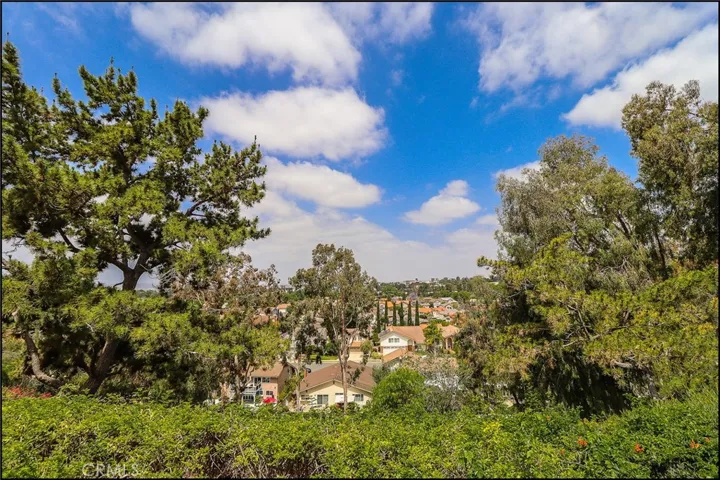 25205 Calle Madrid, Lake Forest, California 92630