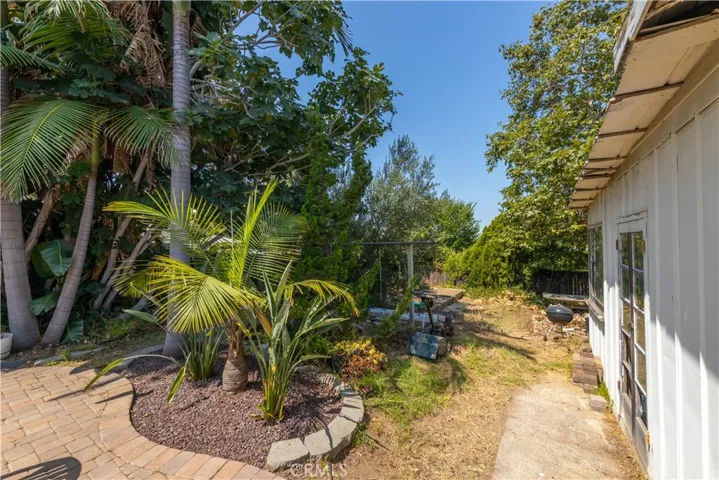 Lower backyard.