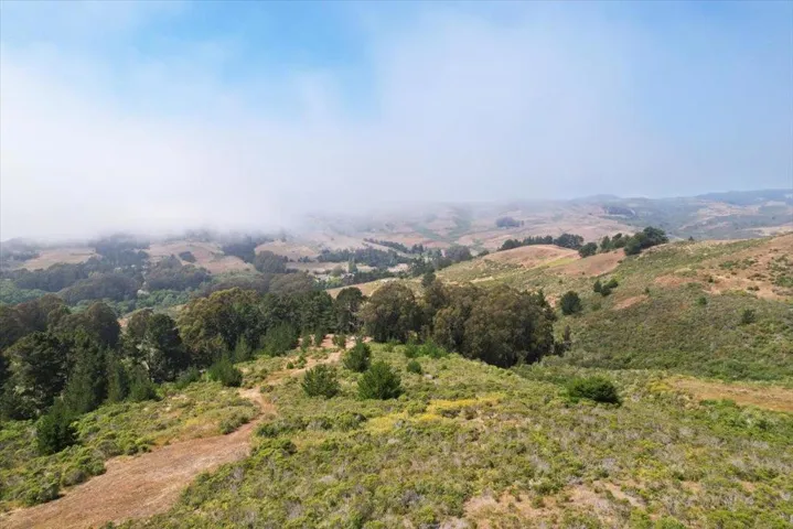 Open area looking north