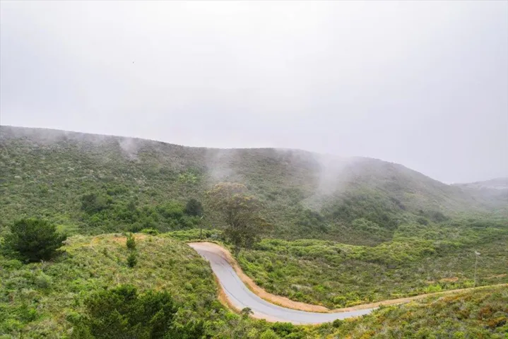 Stage Road boundary of parcel looking west