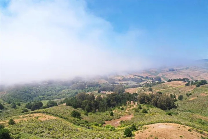 Line in foreground is fence line and neighboring property