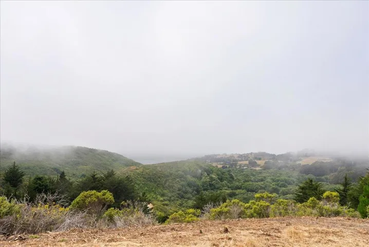 Looking west towards San Gregorio Beach