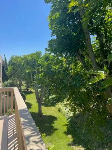 View from BBQ deck