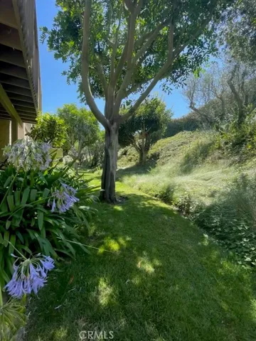 One minute walk to pool and in ground spa