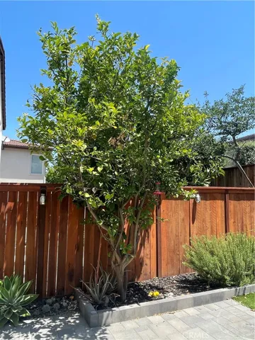14 Bel Flora, Rancho Santa Margarita, California 92688
