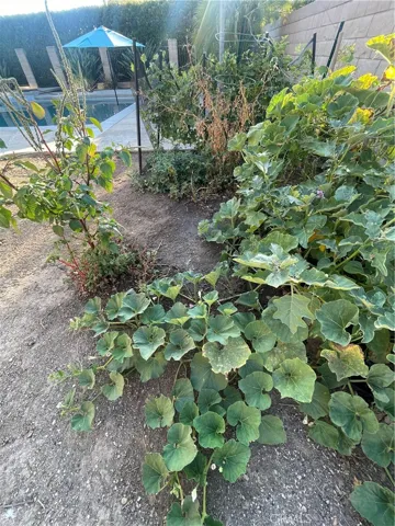 room for to create your own garden