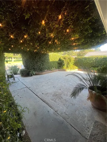 Courtyard feels cooler even on the hottest days