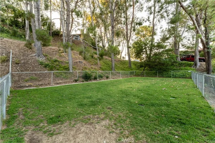 Dog Park