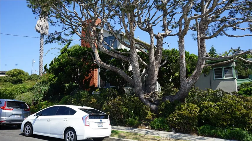 3531 S Peck Avenue, San Pedro, California 90731