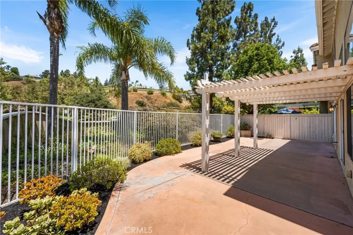 Patio and back yard