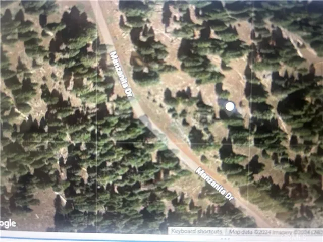 0 Manzanita, Likely, California 96116