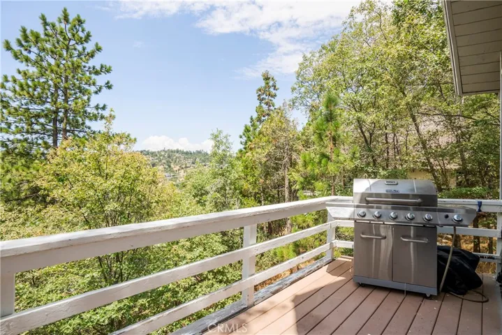881 Rhine Road, Lake Arrowhead, California 92352