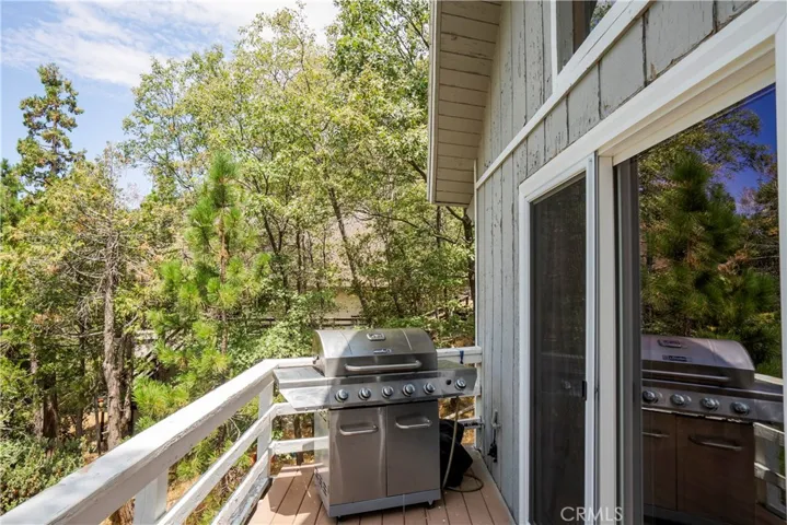 881 Rhine Road, Lake Arrowhead, California 92352