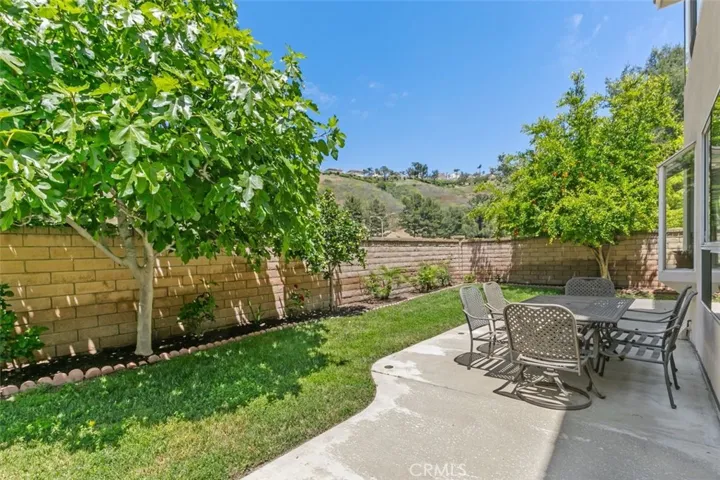 892 S Briar Rose Lane, Anaheim Hills, California 92808