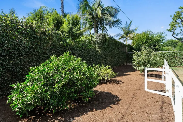 Fruit tree grove includes an Avocado, Anna Apple, Meyer Lemon and Orange tree