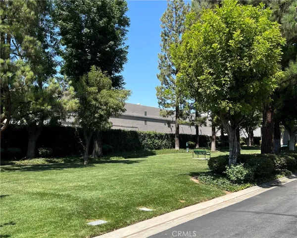 12168 Mount Vernon Avenue 4, Grand Terrace, California 92313
