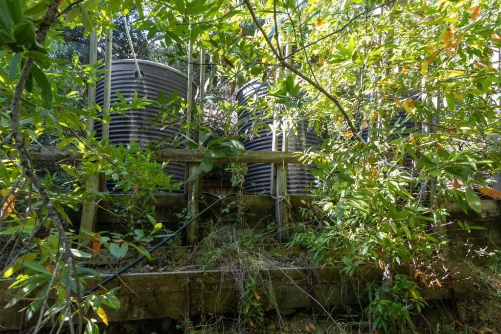 520 Laguna, Los Gatos, California 95033 home-pic-38