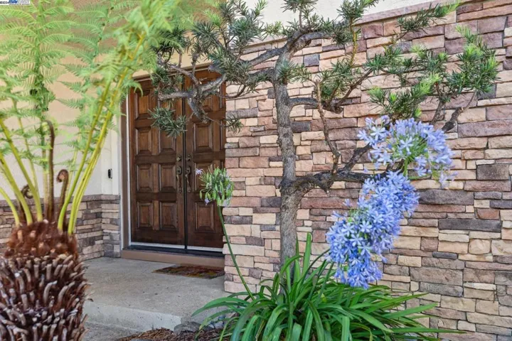16817 Hallmark Ct, Castro Valley, California 94552
