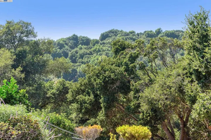16817 Hallmark Ct, Castro Valley, California 94552