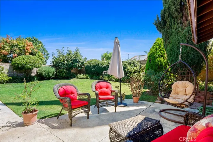 Big Backyard