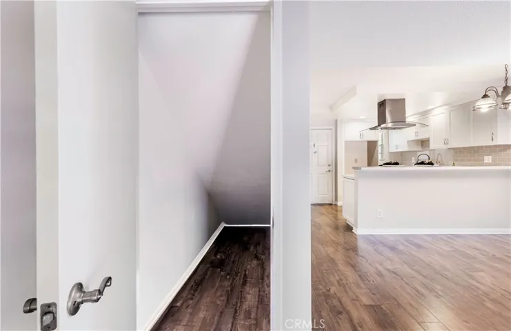 Under stairway closet