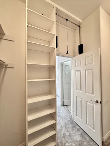 Primary Closet