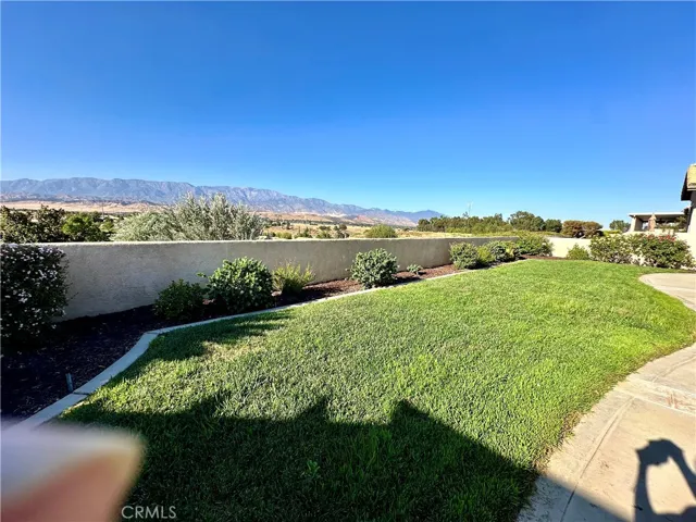Back Yard facing NE
