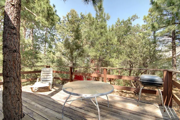 rear-deck-1_53885544364_o