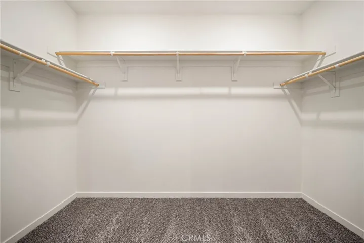 Master Walk in Closet