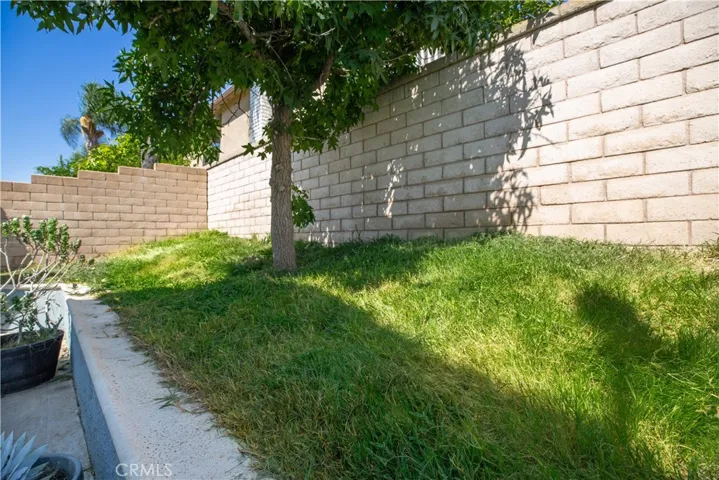 Backyard with Grass