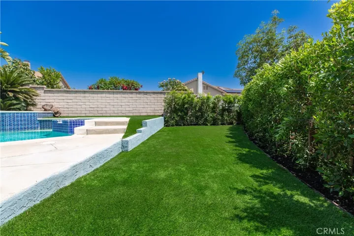 Backyard Turf