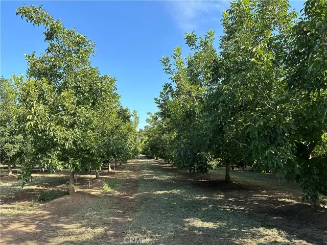 4145 Rowles Road, Vina, California 96092