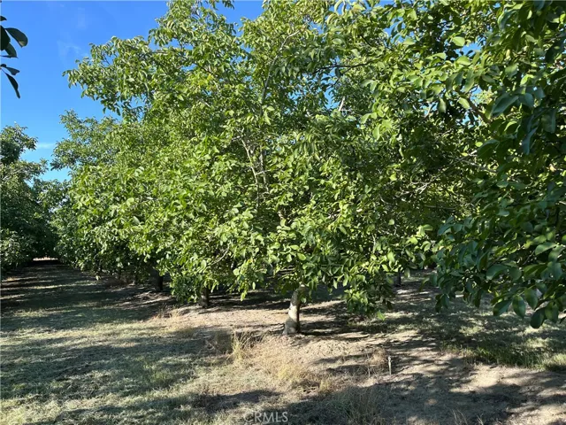 4145 Rowles Road, Vina, California 96092