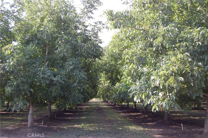 4145 Rowles Road, Vina, California 96092