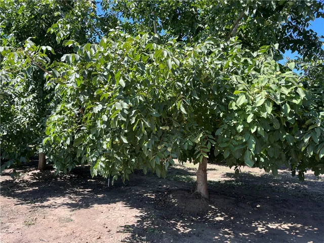 4145 Rowles Road, Vina, California 96092