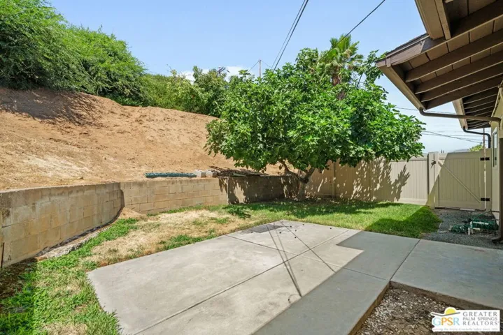 rear yard 2