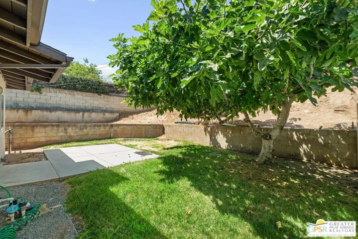 rear yard 2