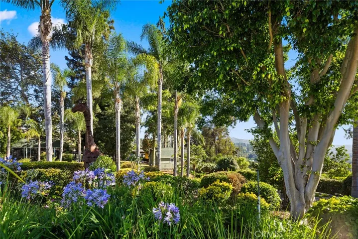 421 S Mohler Drive, Anaheim Hills, California 92808