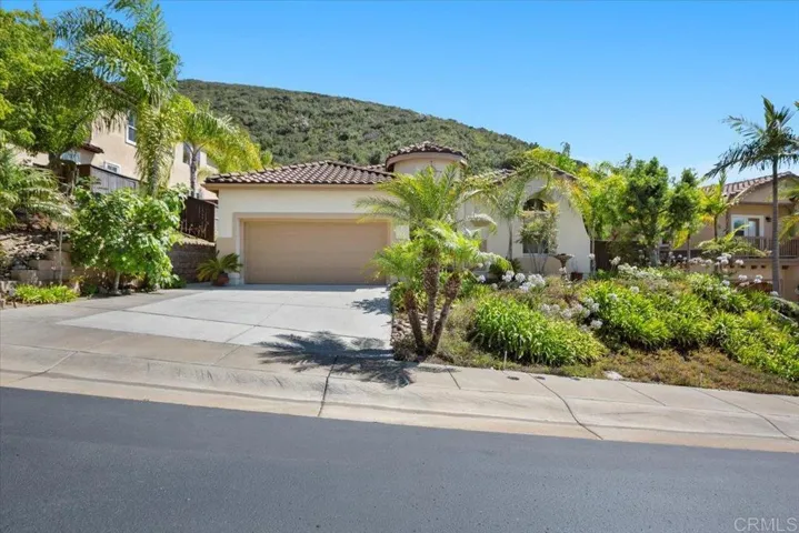 1118 Via Vera Cruz, San Marcos, California 92078
