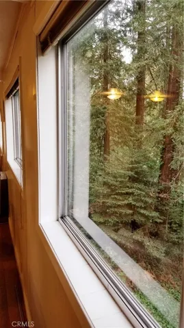 In forest views.