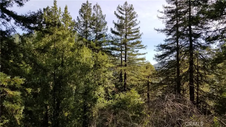 View from porch
