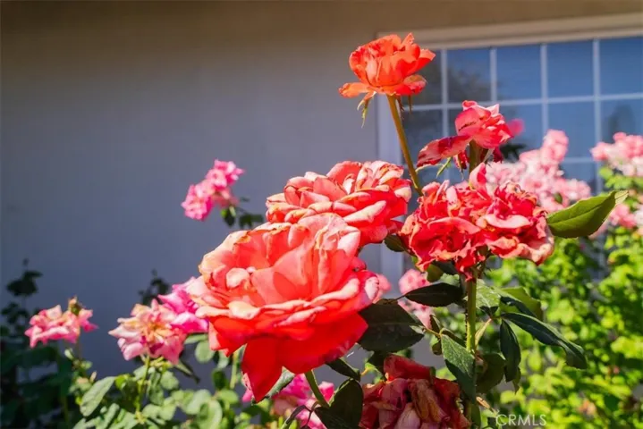 873 S Marjan Street, Anaheim, California 92806