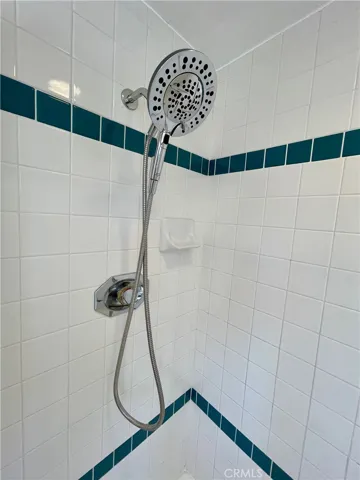 New sprayer in master bathroom shower!