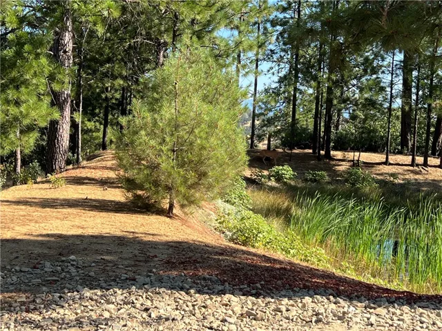 6612 Spencers Mill Lane, Midpines, California 95345