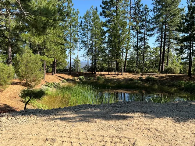 6612 Spencers Mill Lane, Midpines, California 95345